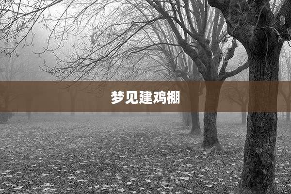 梦见建鸡棚