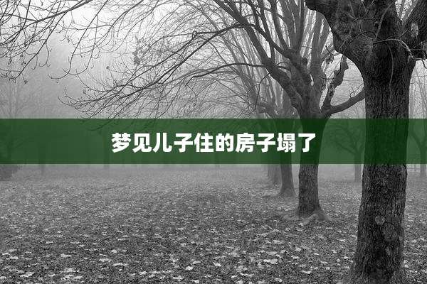 梦见儿子住的房子塌了