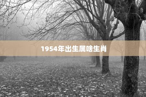 1954年出生属啥生肖