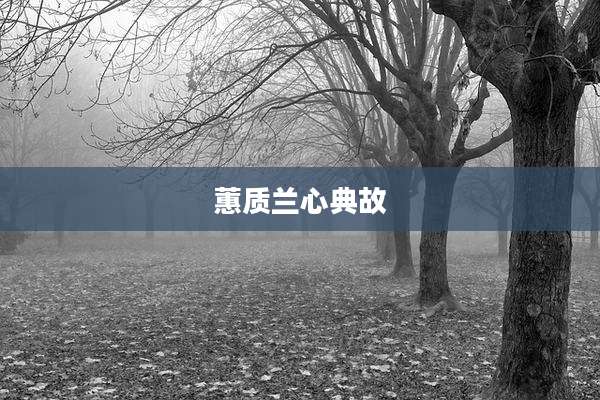 蕙质兰心典故