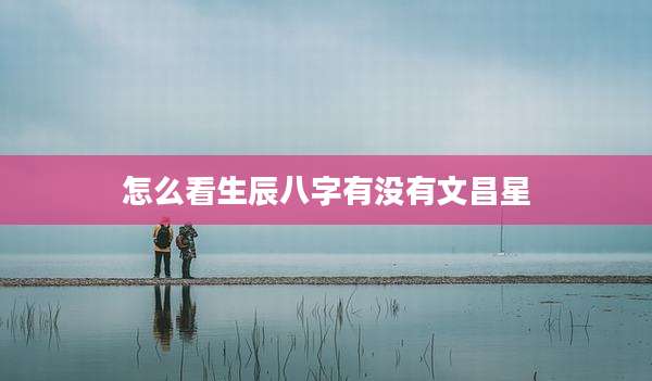 怎么看生辰八字有没有文昌星