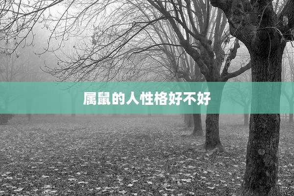 属鼠的人性格好不好