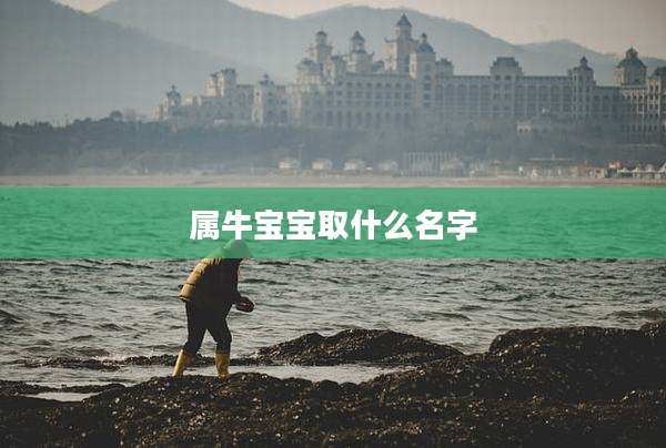 属牛宝宝取什么名字