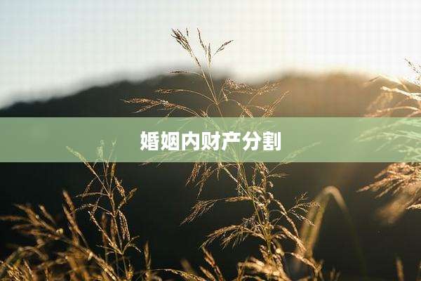 婚姻内财产分割