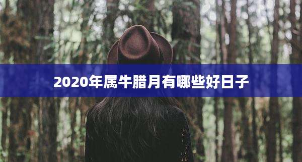 2020年属牛腊月有哪些好日子