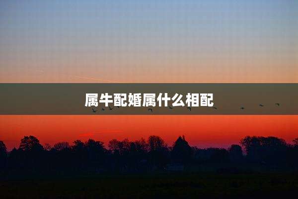 属牛配婚属什么相配