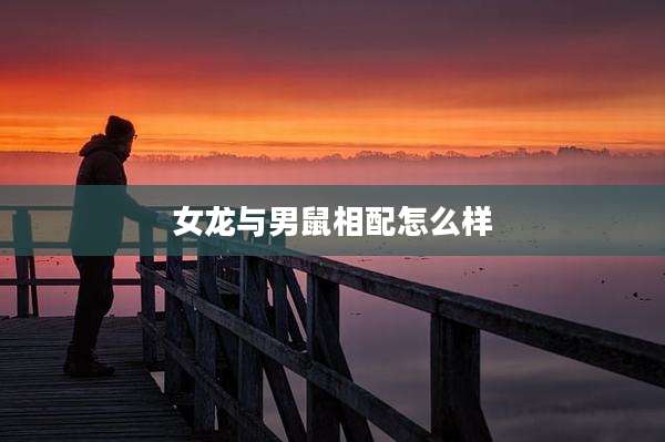 女龙与男鼠相配怎么样