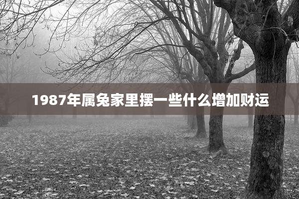 1987年属兔家里摆一些什么增加财运