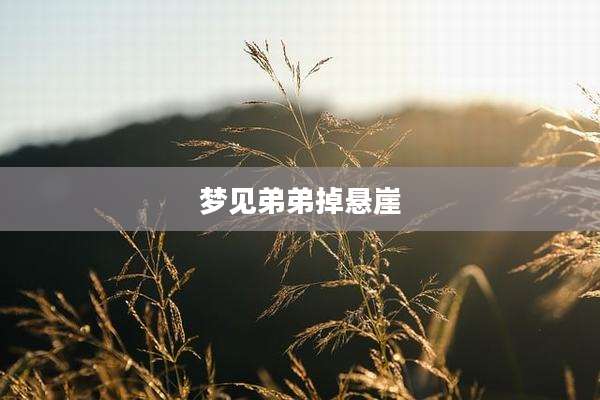梦见弟弟掉悬崖