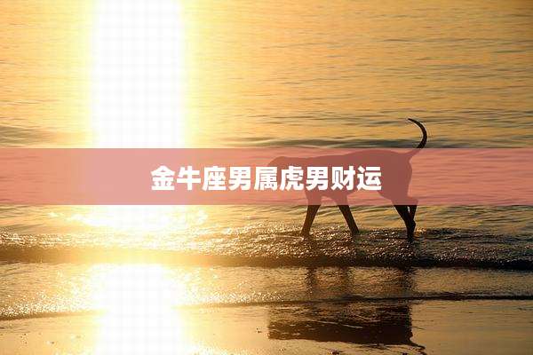 金牛座男属虎男财运