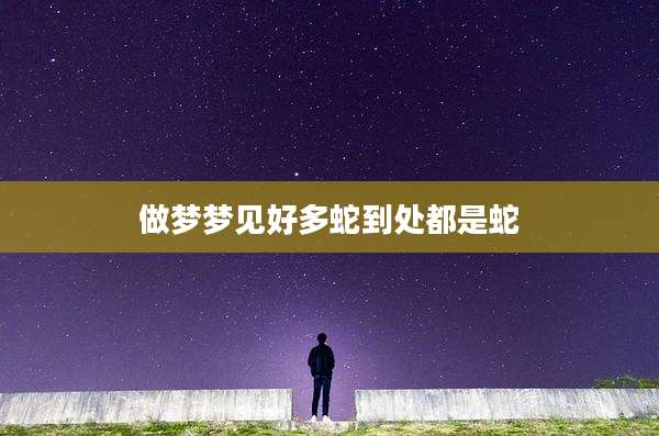 做梦梦见好多蛇到处都是蛇