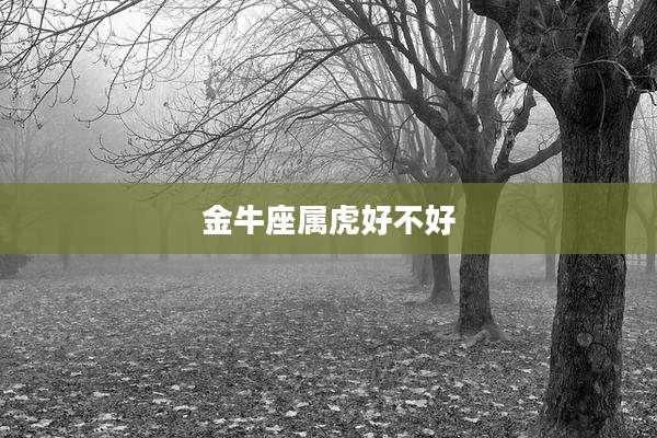 金牛座属虎好不好