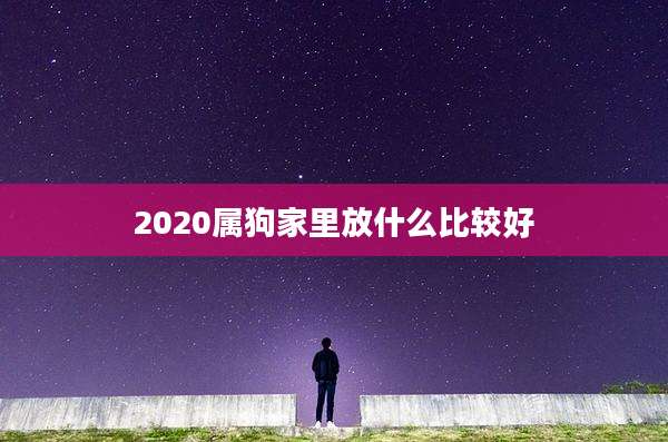 2020属狗家里放什么比较好