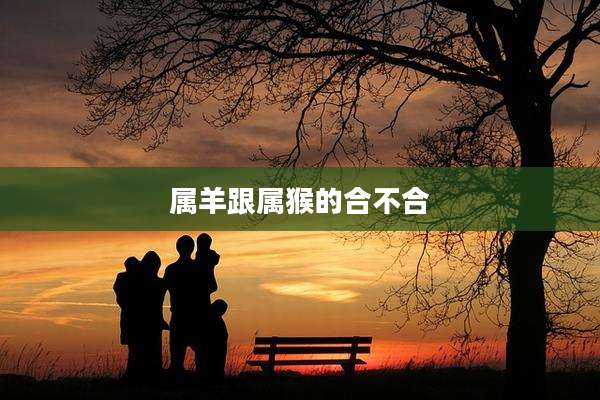 属羊跟属猴的合不合