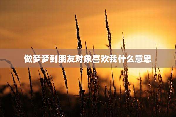 做梦梦到朋友对象喜欢我什么意思