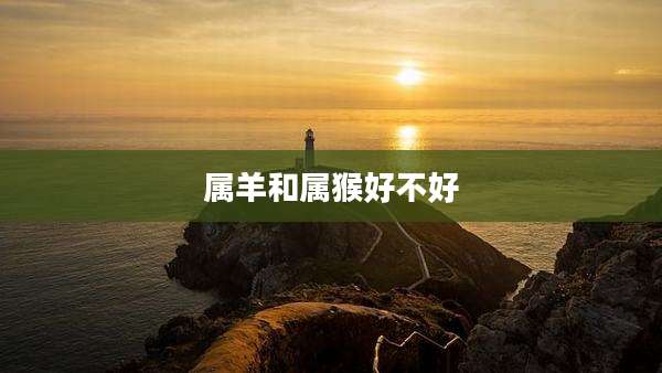 属羊和属猴好不好
