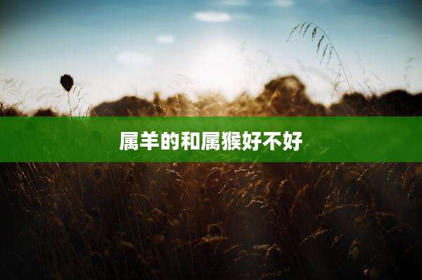 属羊的和属猴好不好