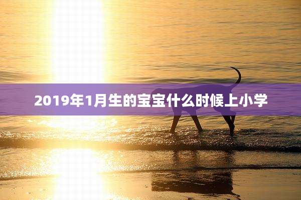 2019年1月生的宝宝什么时候上小学
