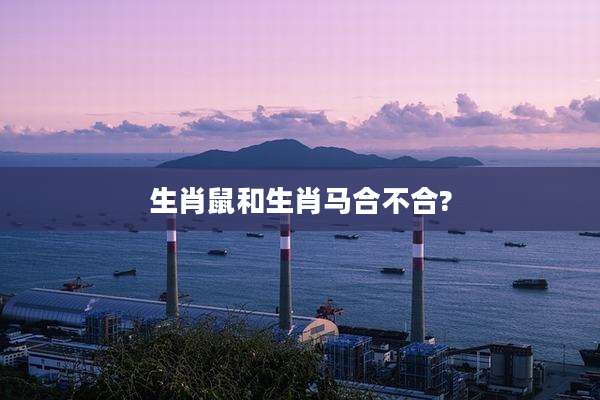 生肖鼠和生肖马合不合?