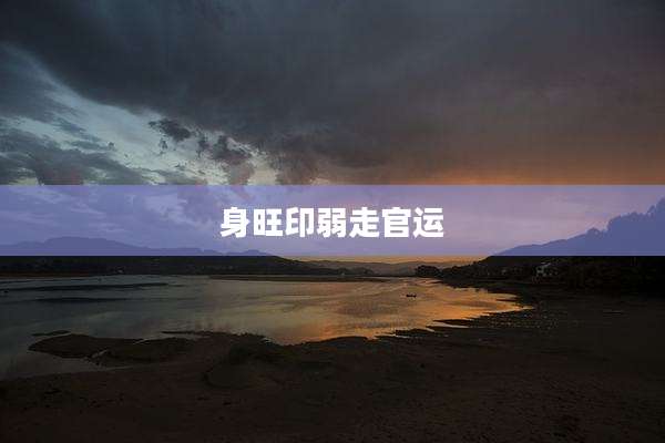 身旺印弱走官运