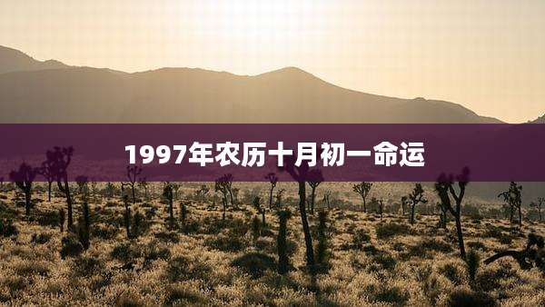 1997年农历十月初一命运