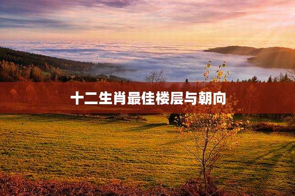 十二生肖最佳楼层与朝向