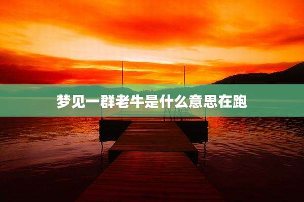 梦见一群老牛是什么意思在跑