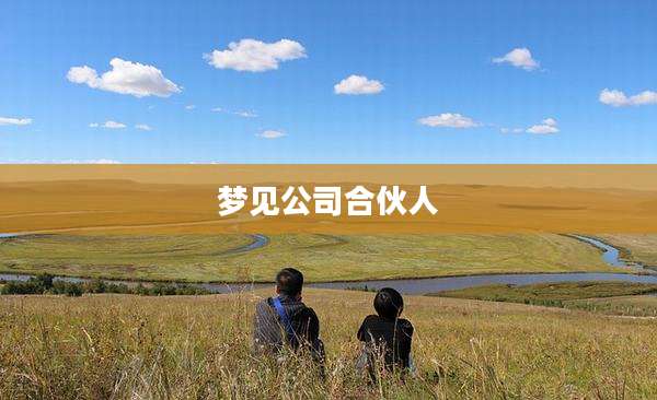 梦见公司合伙人