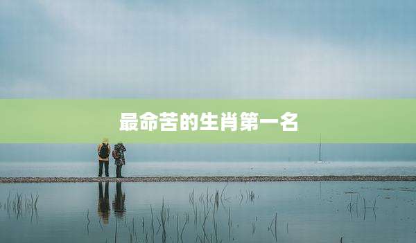 最命苦的生肖第一名