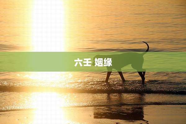 六壬 姻缘