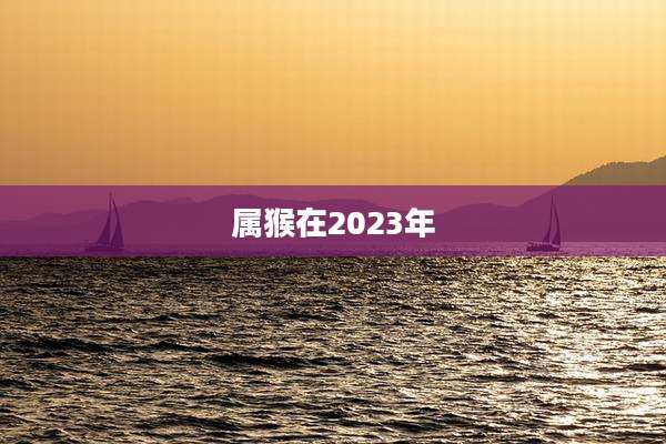 属猴在2023年