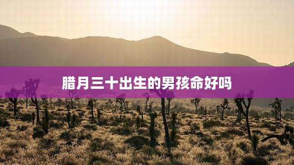 腊月三十出生的男孩命好吗
