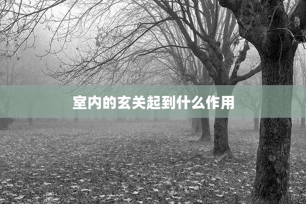 室内的玄关起到什么作用
