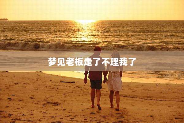 梦见老板走了不理我了