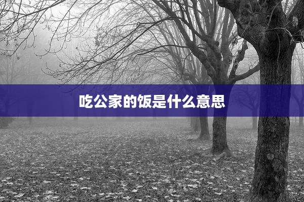吃公家的饭是什么意思