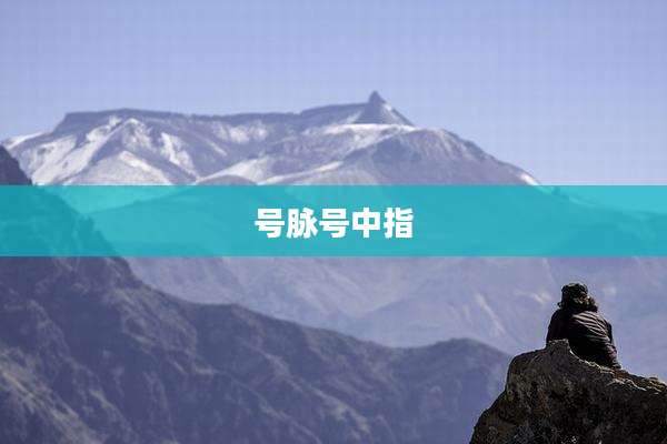号脉号中指