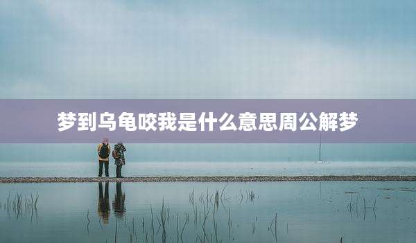 梦到乌龟咬我是什么意思周公解梦