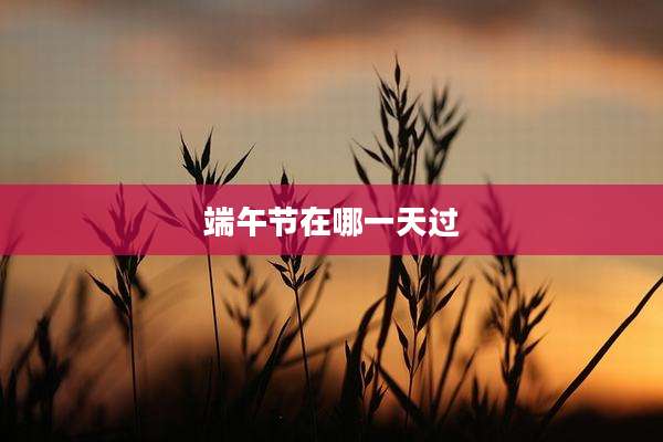 端午节在哪一天过