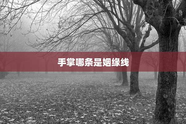 手掌哪条是姻缘线