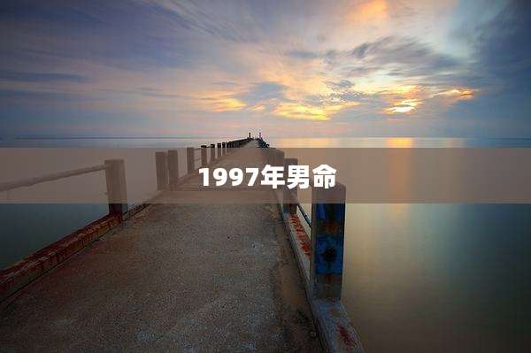 1997年男命