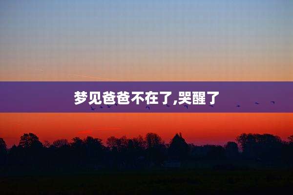 梦见爸爸不在了,哭醒了