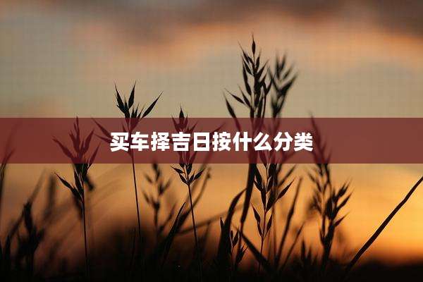 买车择吉日按什么分类