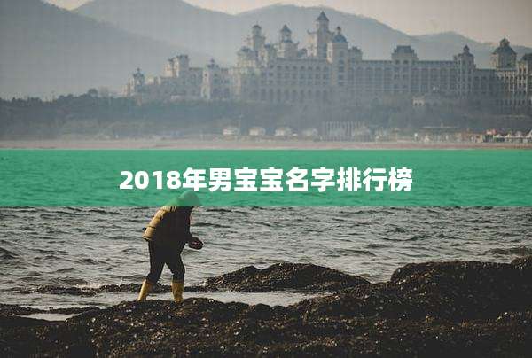 2018年男宝宝名字排行榜