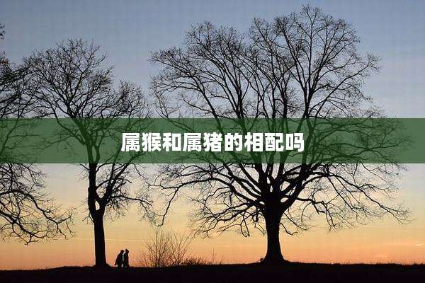 属猴和属猪的相配吗