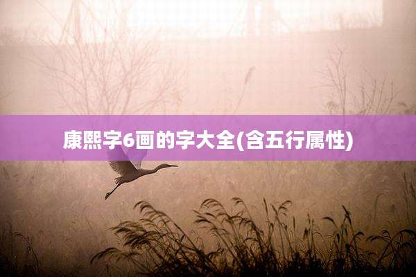康熙字6画的字大全(含五行属性)