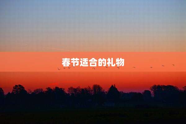 春节适合的礼物