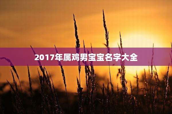 2017年属鸡男宝宝名字大全