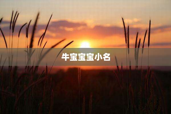 牛宝宝宝小名