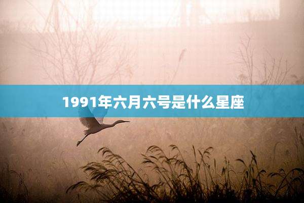 1991年六月六号是什么星座