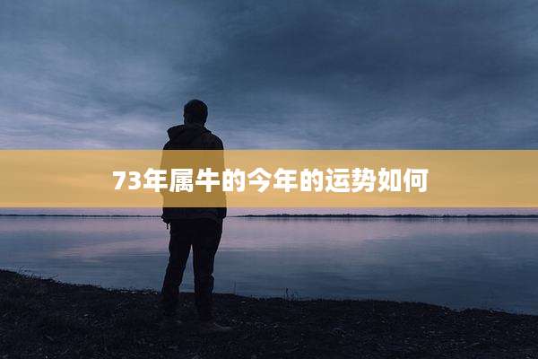 73年属牛的今年的运势如何
